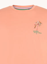Load image into Gallery viewer, A Fish Named Fred 31.401 T-SHIRT SUNSET SAHARA