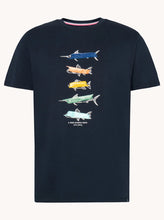 Load image into Gallery viewer, A Fish Named Fred 31.408 31.408