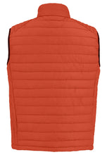Load image into Gallery viewer, QUILTED VEST WITH LIGHT PADDING