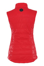 Load image into Gallery viewer, Dolcezza 73802 GILET
