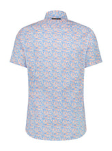 Load image into Gallery viewer, A Fish Named Fred 28.055 SHIRT SS ORANGES
