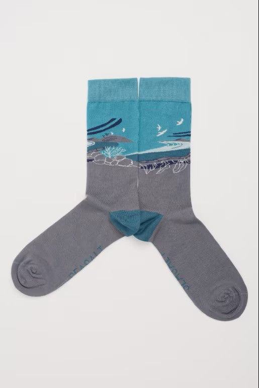Seasalt B-Ac27224-32961 Men's Postcard Socks Gulls Rock Peacock
