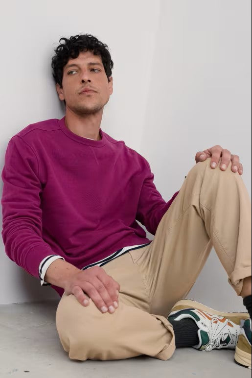 Seasalt B-Mn37029-25329 Men's Bolitho Sweatshirt Cassis