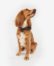 Load image into Gallery viewer, Barbour Trtn Dog Bow Tie
