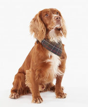 Load image into Gallery viewer, Barbour Tartan Dg Band
